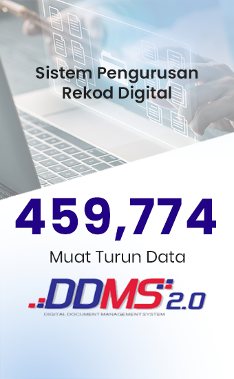 DDMS (1)