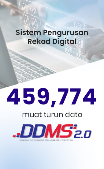 DDMS