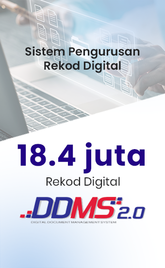 DDMS (2)