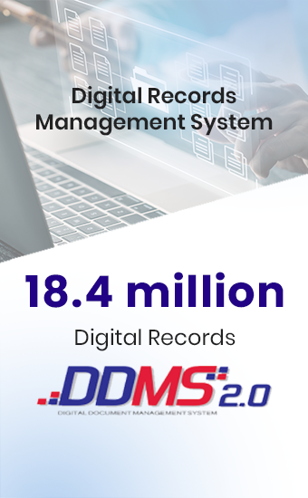 DDMS bi