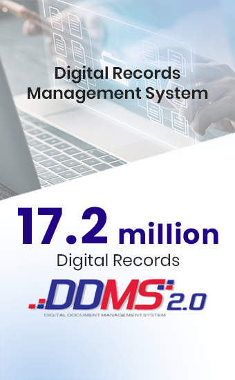 ddms bi (3)