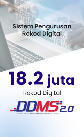 DDMS (3)